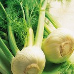Fennel vastasyntyneelle