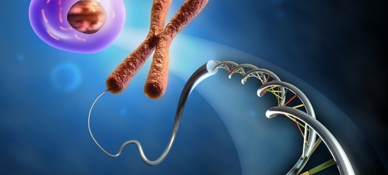 Karyotyping puolisot, tai Miten suunnitella syntymästä terve vauva