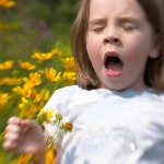 Pollinoosi lapsilla: allergia siitepölylle Pollinoosi lapsilla: allergia siitepölylle
