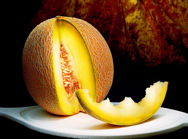 Melonin istuttaminen ja hoito Venäjän keskimmäisellä vyöhykkeellä