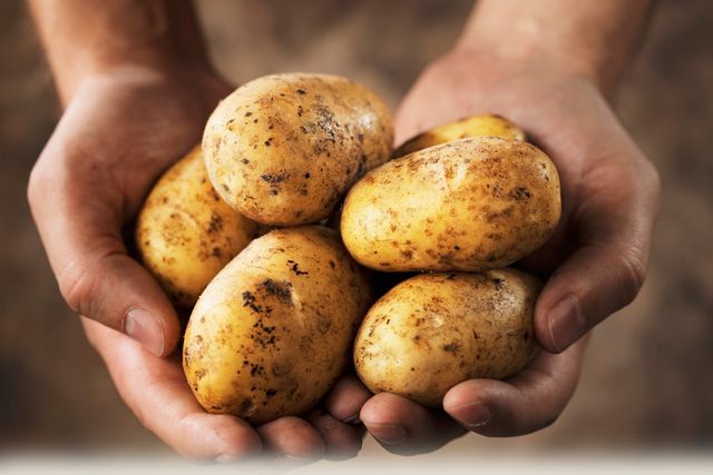 Miten säilytetään perunoita talvella