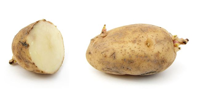 Miten säilytetään perunoita talvella