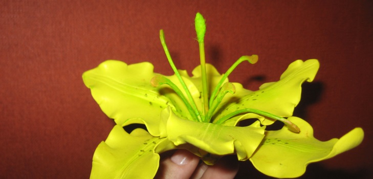 Lily vaahtomuovista