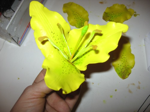 Lily vaahtomuovista