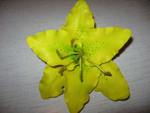 Lily vaahtomuovista