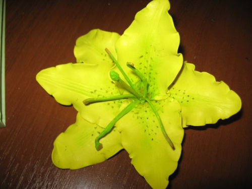 Lily vaahtomuovista