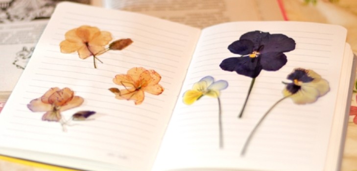 Oppiminen tekemään herbarium ja albumi hänelle omilla käsillään