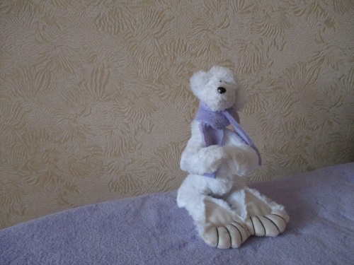 Teddy Bear lelu