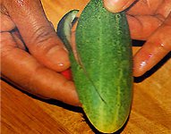 Carving vihanneksista ja hedelmistä?