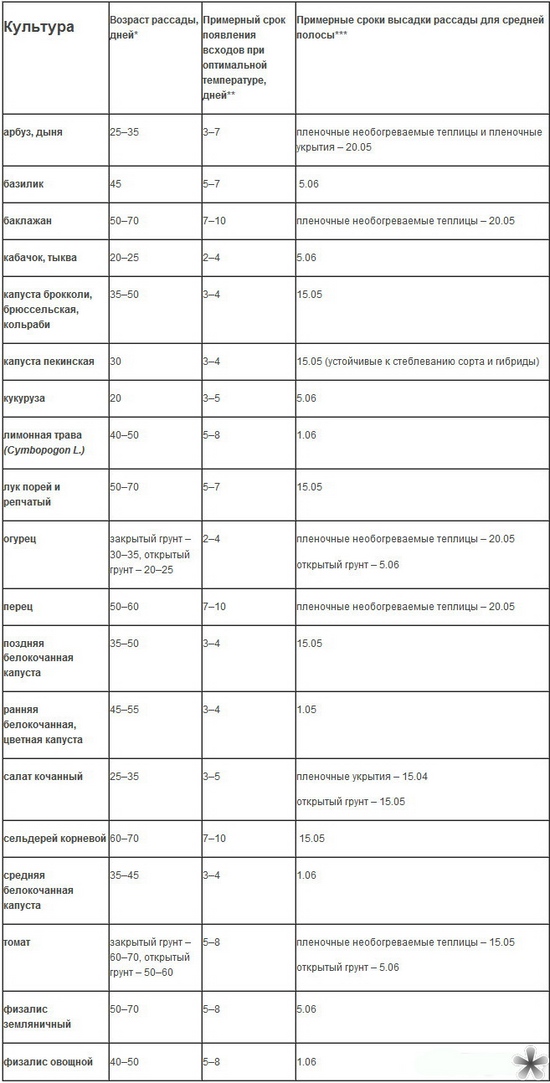 Milloin istuttaa taimet avoimessa maassa?