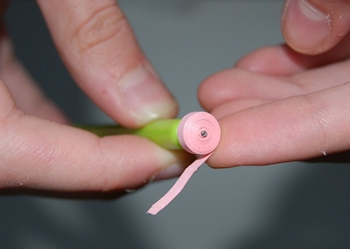 Quilling perhonen