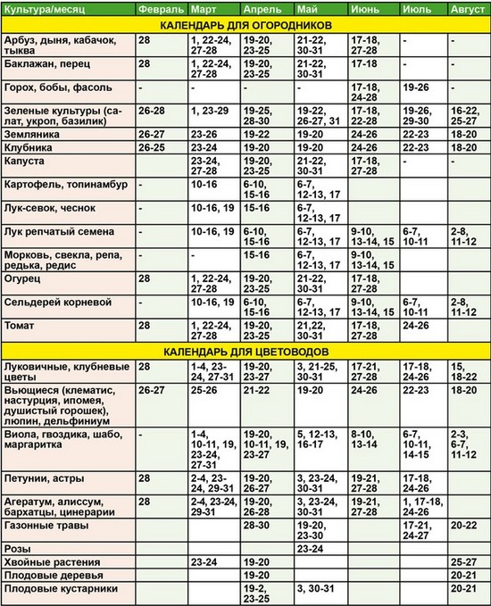 Hortikulttuurisen puutarhan kuun kalenteri elokuussa 2015