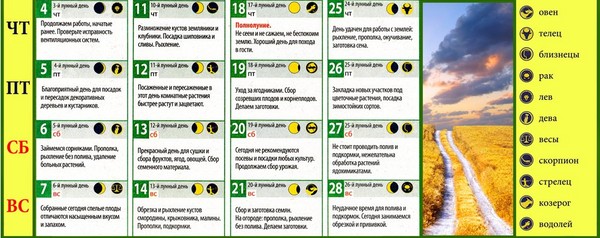Kuukausikalentokoneen maanviljelijä elokuussa 2016 Moskovan alueella, Venäjän keskiosassa, Uralissa, Siperiassa, Luoteis-Venäjällä, Valko-Venäjällä ja Ukrainassa Kuukausikalentokoneen maanviljelijä elokuussa 2016 Moskovan alueella, Venäjän keskiosassa, Uralissa, Siperiassa, Luoteis-Venäjällä, Valko-Venäjällä ja Ukrainassa