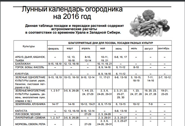Kuukausikalentokoneen maanviljelijä elokuussa 2016 Moskovan alueella, Venäjän keskiosassa, Uralissa, Siperiassa, Luoteis-Venäjällä, Valko-Venäjällä ja Ukrainassa Kuukausikalentokoneen maanviljelijä elokuussa 2016 Moskovan alueella, Venäjän keskiosassa, Uralissa, Siperiassa, Luoteis-Venäjällä, Valko-Venäjällä ja Ukrainassa
