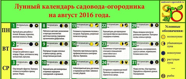 Kuukausikalentokoneen maanviljelijä elokuussa 2016 Moskovan alueella, Venäjän keskiosassa, Uralissa, Siperiassa, Luoteis-Venäjällä, Valko-Venäjällä ja Ukrainassa Kuukausikalentokoneen maanviljelijä elokuussa 2016 Moskovan alueella, Venäjän keskiosassa, Uralissa, Siperiassa, Luoteis-Venäjällä, Valko-Venäjällä ja Ukrainassa