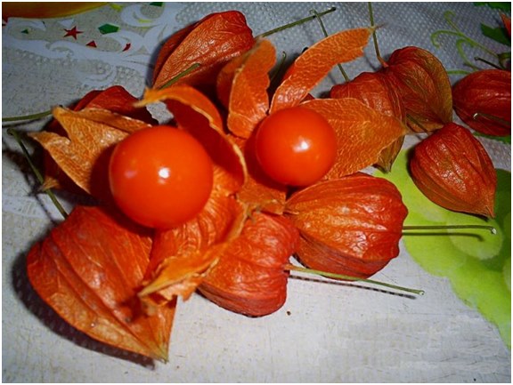 Physalis-marjoja
