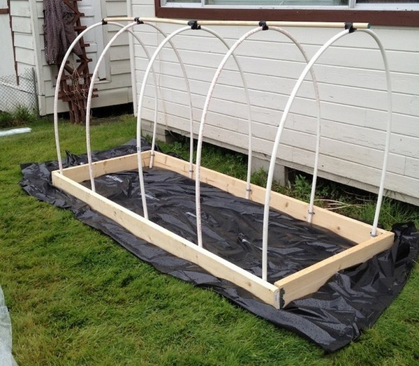 Hot Springs for Seedling: Vaiheittainen opas, valokuvat, videot