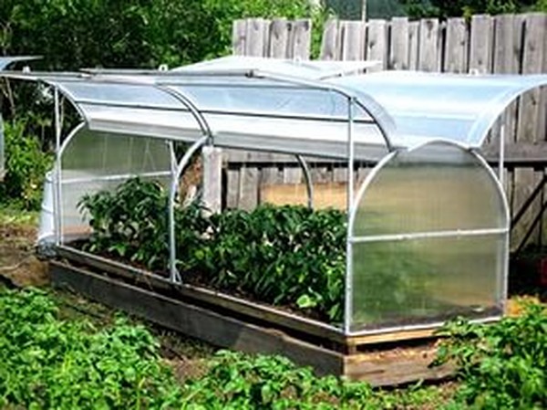 Hot Springs for Seedling: Vaiheittainen opas, valokuvat, videot