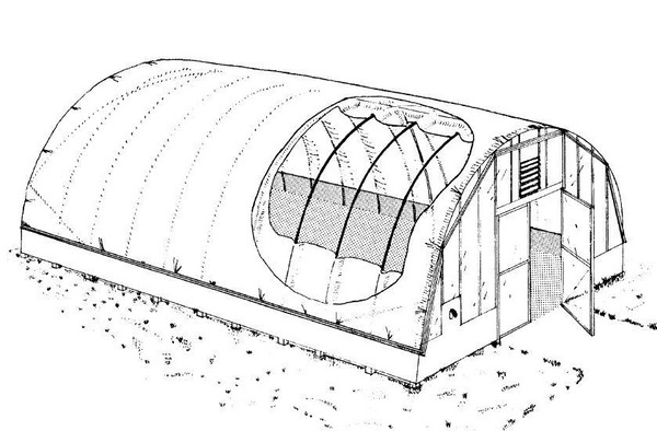 Hot Springs for Seedling: Vaiheittainen opas, valokuvat, videot