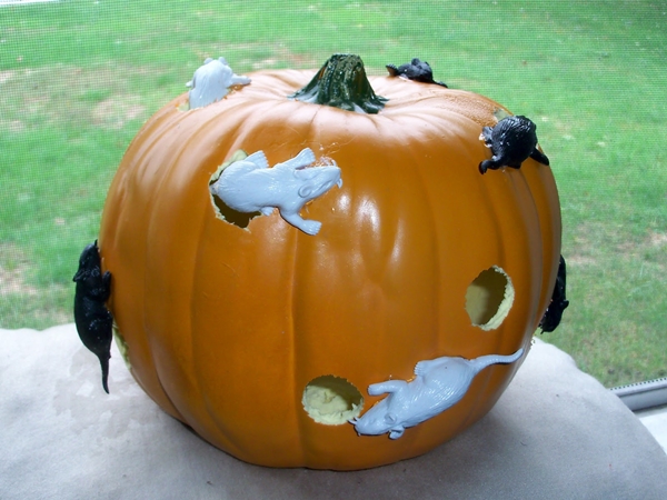 Pumpkins hiirillä