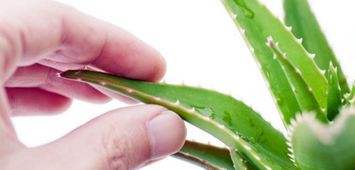 Eri kotona naamarit ja aloe-hiukset