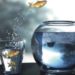 Comfort Zone: miten laajentaa sitä?