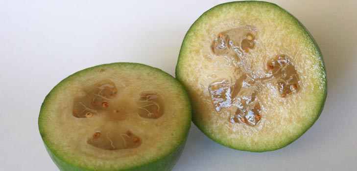 Feijoa - Feijoan käyttökelpoiset ominaisuudet, edut ja haitat