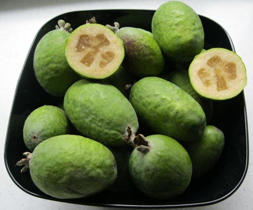 Feijoa - Feijoan käyttökelpoiset ominaisuudet, edut ja haitat