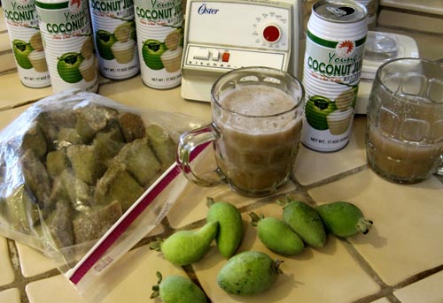 Feijoa - Feijoan käyttökelpoiset ominaisuudet, edut ja haitat