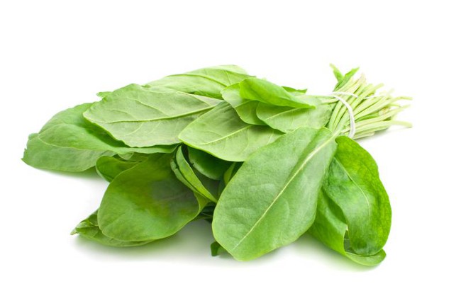 Miten hankkia sorrel talvella?