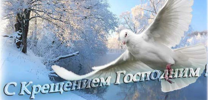 loppiainen