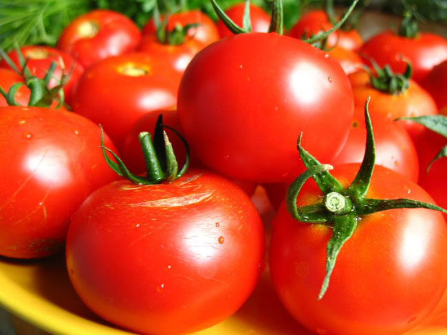 Tomaattien säilyttäminen