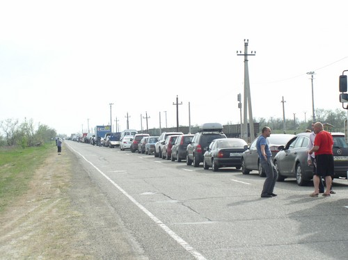 Menemme Crimea autolla koiran kanssa