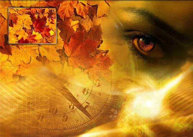 Numerologia: nimen numero