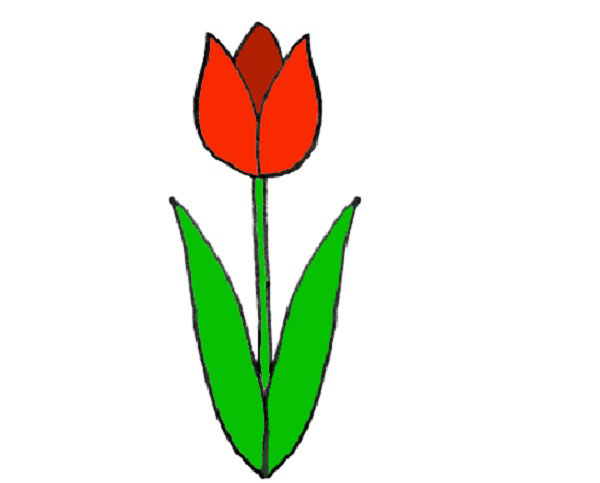 Kuva 8. maaliskuuta