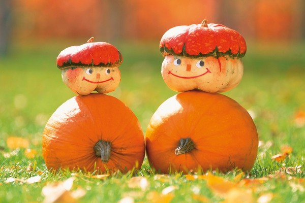 Harvest-festivaalin skenaario peruskoululle, vanhemmille oppilaille, aikuisille ja eläkkeelle
