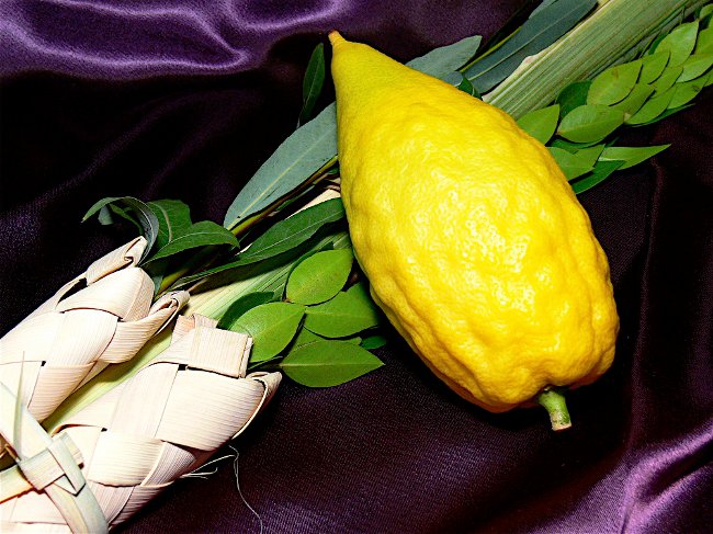Sukkot: Shalashin juhla