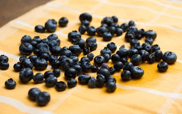 Mustikka reseptit talvella