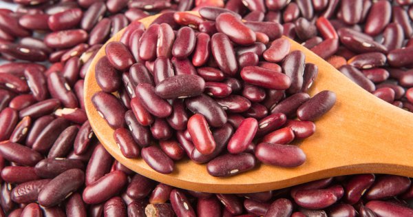 Pavut talvella