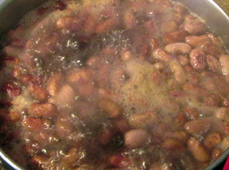 Pavut talvella