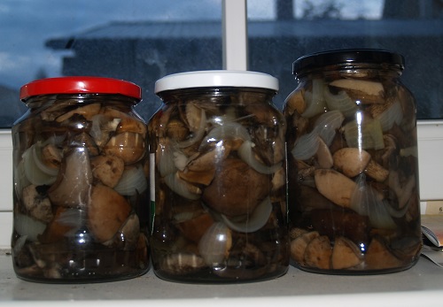 Resepti marinoitua talvella