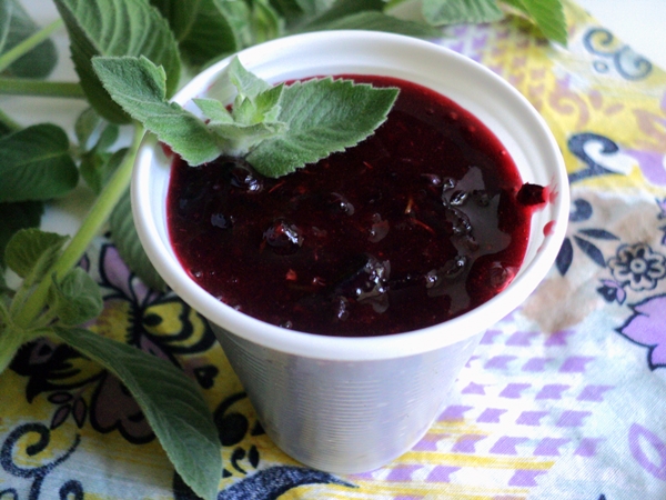 Kuinka jäädyttää mustaherukka sorbetin muodossa?