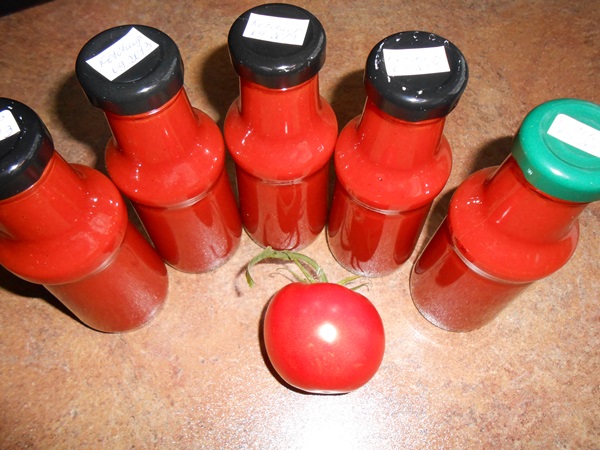 Ketchup omilla käsillä tomaateista: vaiheittaiset reseptit sadonkorjuuta varten talvella