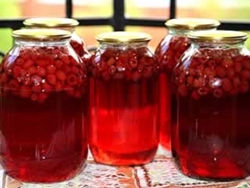 Vihannesten muodostaminen talvella