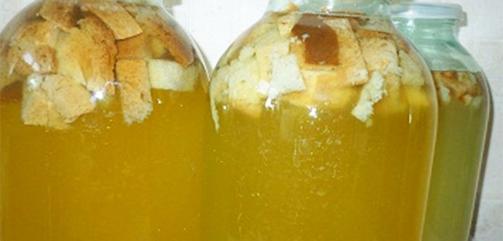 Herkulliset ja yksinkertaiset kvass-reseptit koivuhauteella Herkulliset ja yksinkertaiset kvass-reseptit koivuhauteella