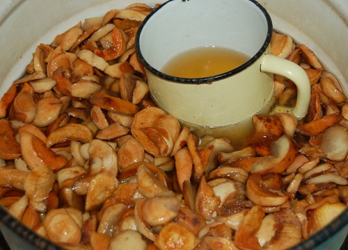 Herkulliset ja yksinkertaiset kvass-reseptit koivuhauteella Herkulliset ja yksinkertaiset kvass-reseptit koivuhauteella