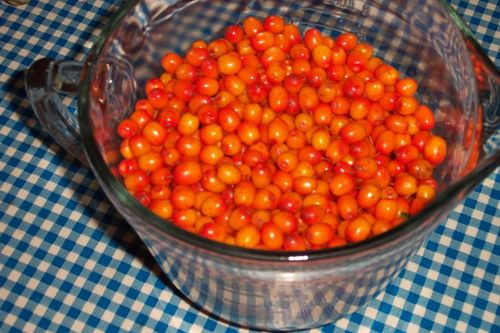 Pasteurised jam of sea-tykt