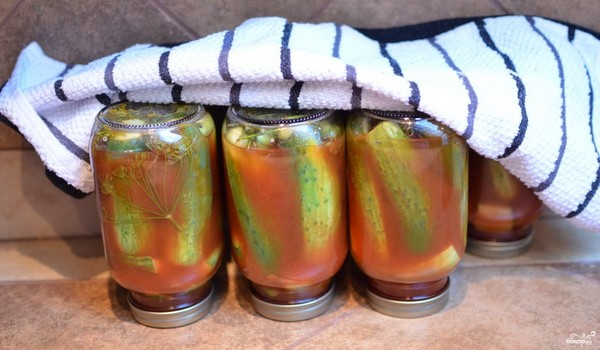 Kurpitsat ketchupilla talvella - ilman sterilointia, tölkeissä. Sadonkorjuu talven teräväksi ja rapeaksi kurkulle ketsuppi chili Kurpitsat ketchupilla talvella - ilman sterilointia, tölkeissä. Sadonkorjuu talven teräväksi ja rapeaksi kurkulle ketsuppi chili