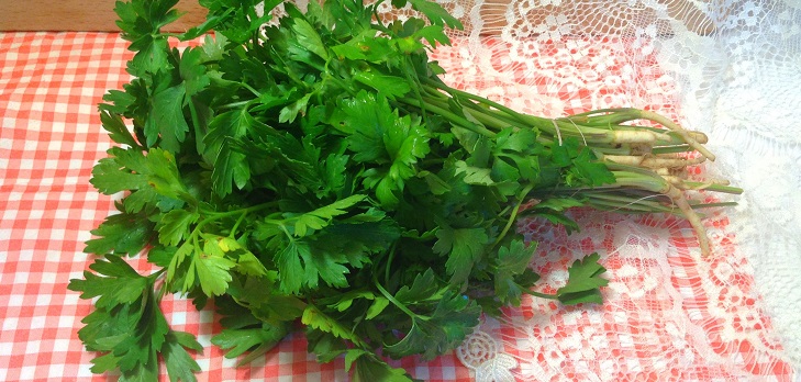 Resepti tuoretta persiljaa talvella