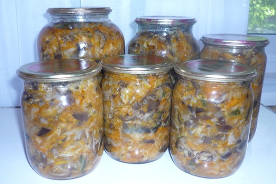 Mushroom hodgepodge talvella kaali